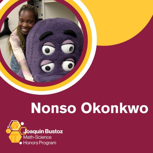 Nonso Okonkwo